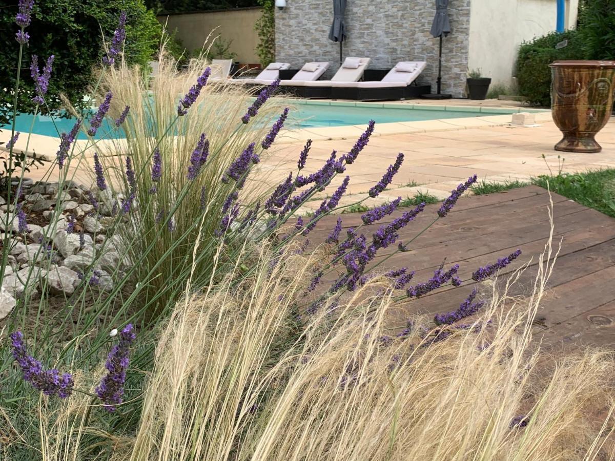 Gite Bastide Lagremuse Apartamento Sarrians Exterior foto